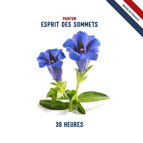 BOUGIE verre 140g (30H) - 4