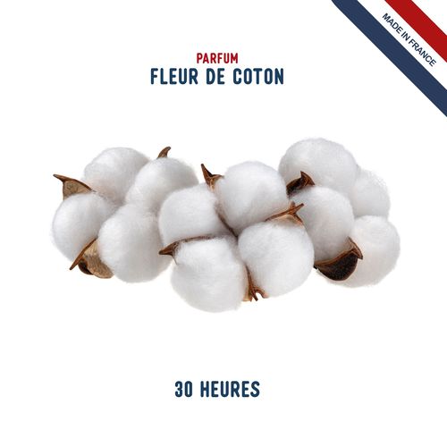 BOUGIE verre 200g (50H) - 4