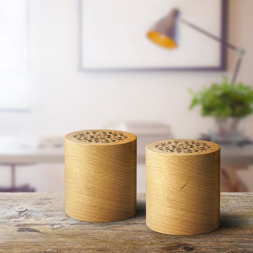 Set de 2 enceintes WOODSTOK - 4