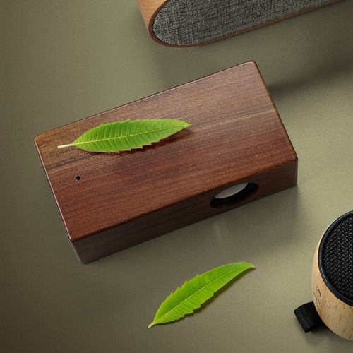 Enceinte interactive WIRE - 2