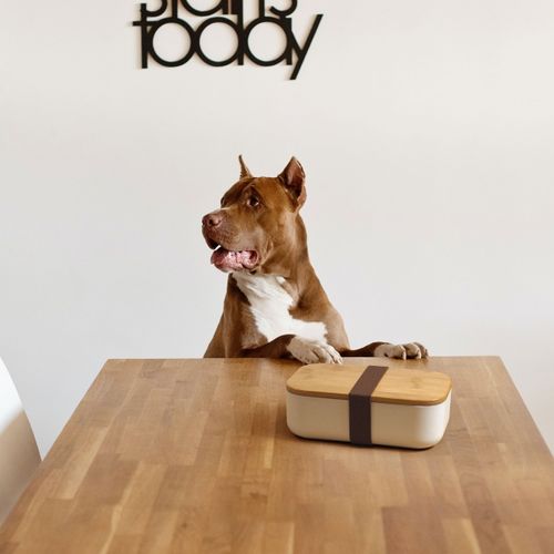 Boîte repas 1000ml BOXYP