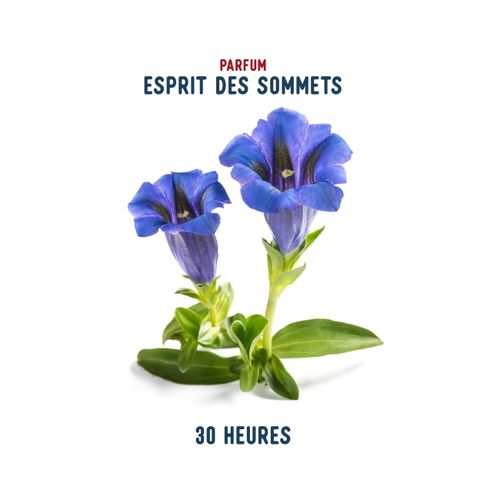 Bougie Esprit des Sommets 140g (30H) - 4