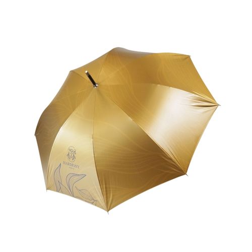 Petit parapluie de ville - Golf, Rainman