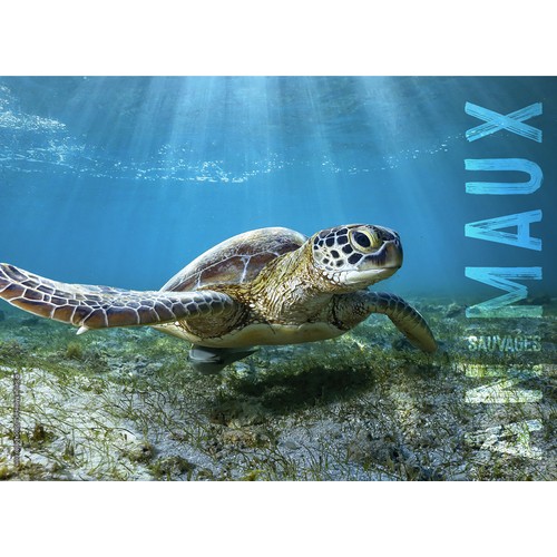 ANIMAUX thumbnail 4