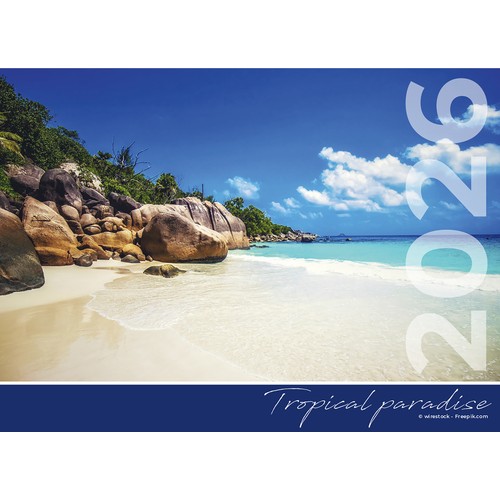 COCOTIERS thumbnail 4