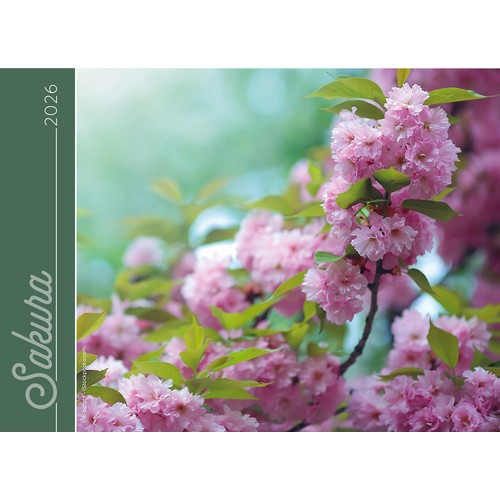 FLEURS thumbnail 4