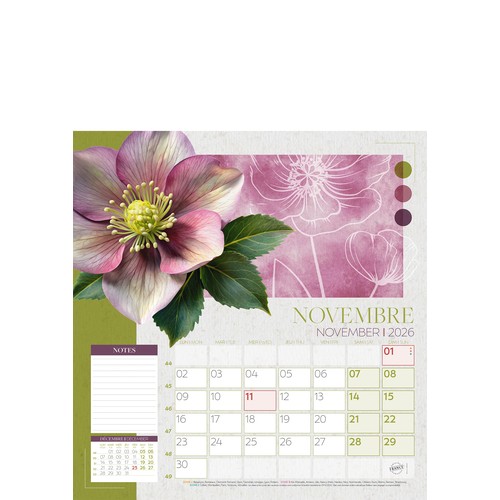 COULEURS NATURES thumbnail 4