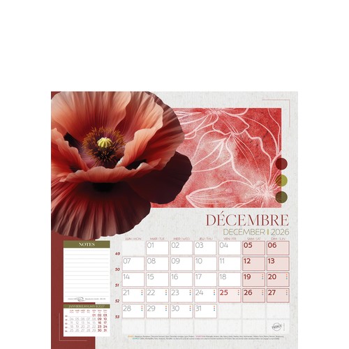 COULEURS NATURES thumbnail 5