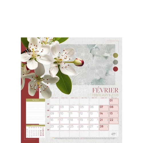 COULEURS NATURES thumbnail 7