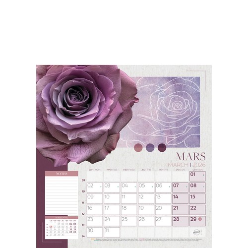 COULEURS NATURES thumbnail 8