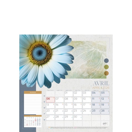 COULEURS NATURES thumbnail 9