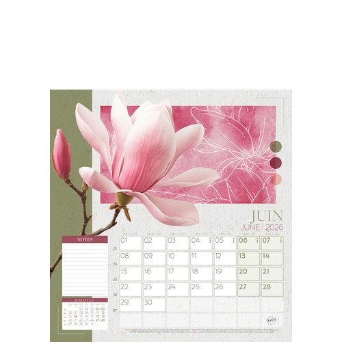 COULEURS NATURES thumbnail 11