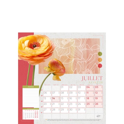 COULEURS NATURES thumbnail 12