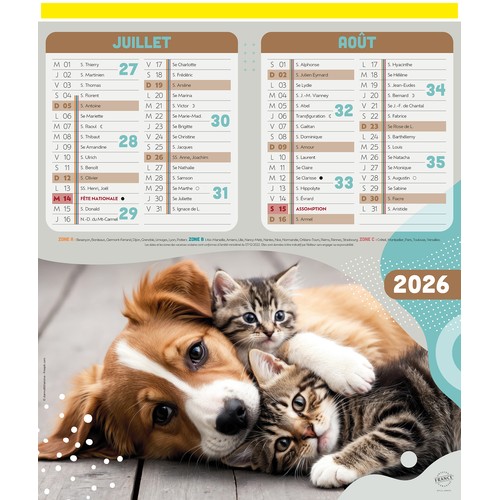 CHIENS ET CHATS thumbnail 4