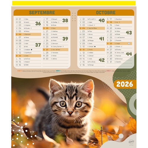 CHIENS ET CHATS thumbnail 5