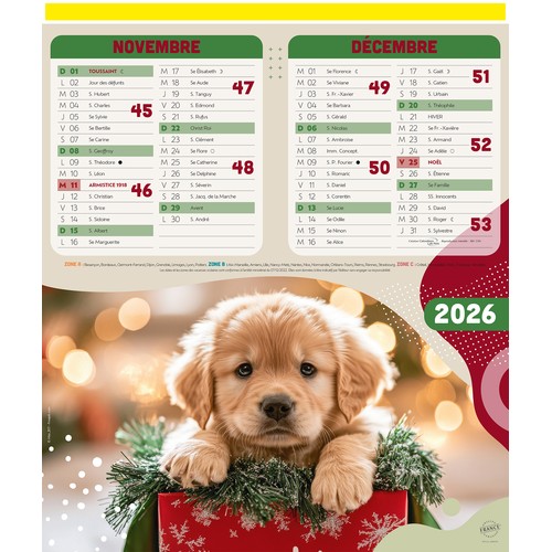 CHIENS ET CHATS thumbnail 6