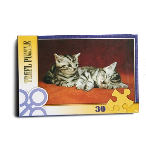 Puzzle 30 pièces avec boîte - 1