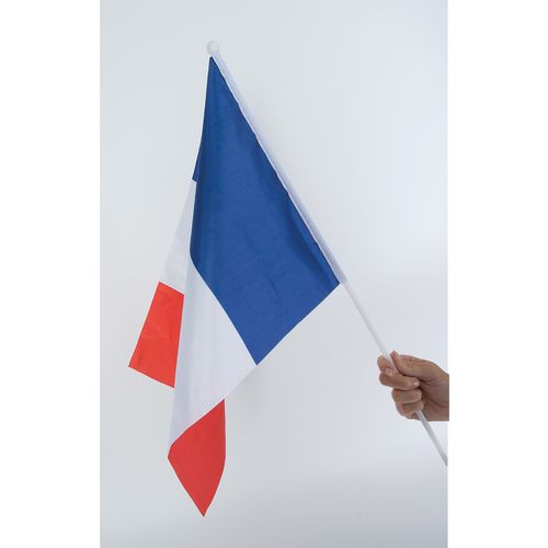 DRAPEAU TRICOLORE - 2
