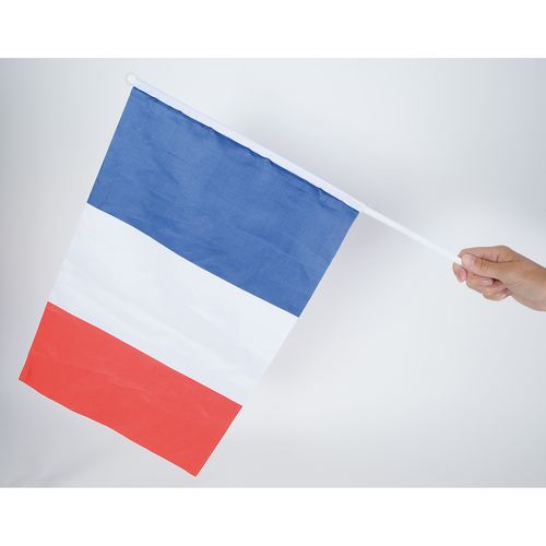 DRAPEAU FRANCAIS 45X30CM - 3
