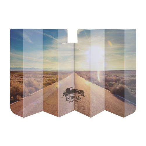 PARE SOLEIL CARTON 120*60 CM - 2