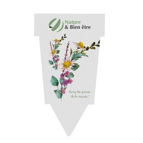 SACHET PAPIER A GRAINES - 1