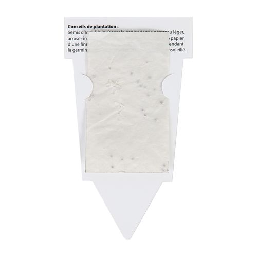 SACHET PAPIER A GRAINES - 3