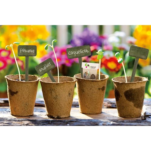 SACHET PAPIER A GRAINES - 6