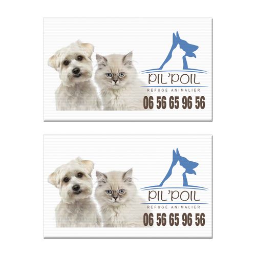 SERIGRAPHIE MAXI 97X68 CM - 4