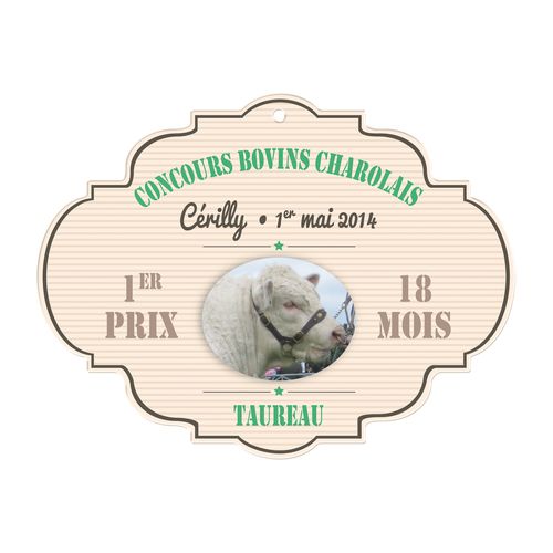 PVC CALANDRE 0.3MM 51/108 CM2 - 4
