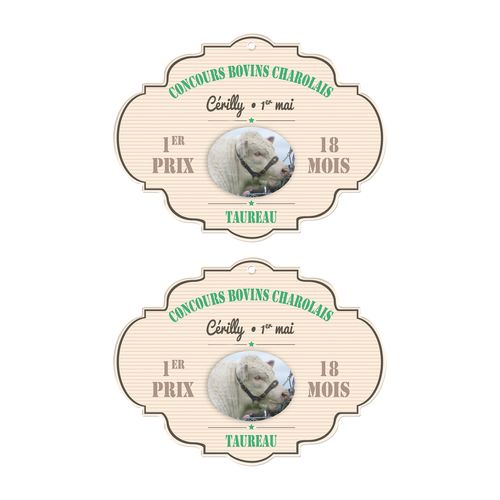 PVC CALANDRE 0.3MM 51/108 CM2 - 3