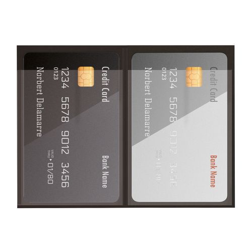 ETUI 2 CARTES PVC GOMME VERNI - 3