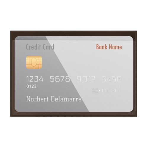 ETUI 1 CARTE PVC GOMME VERNI - 2