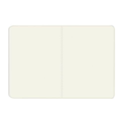 COUVERTURE PASSEPORT PVC MAT - 2