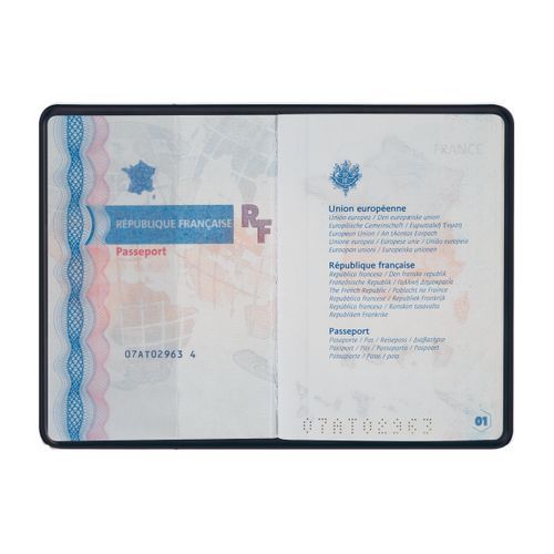 COUV. PASSEPORT PVC VELOURS - 3