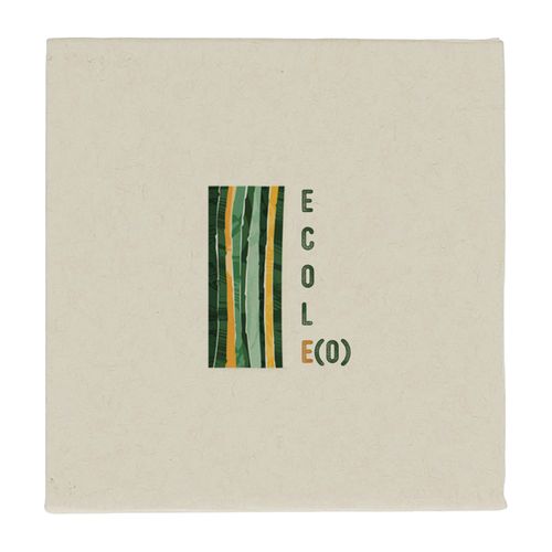 BLOC BRICKS DE LAIT RECYCLEES - 6