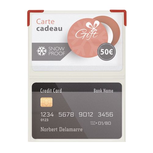 ETUI 2 CARTES PVC GOMME +COINS - 3