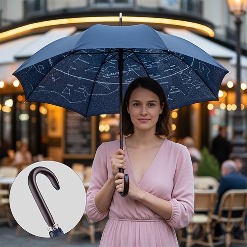 Parapluie standard FARE