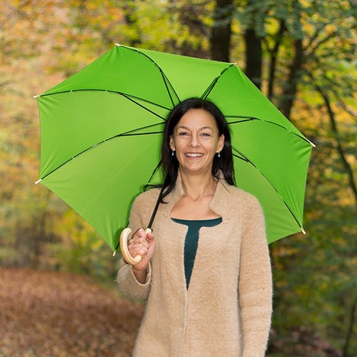 Parapluie standard **fin de série**