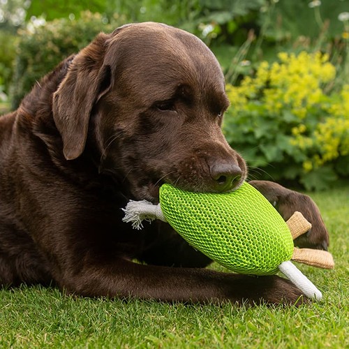 Peluche monstre pour chien MBW