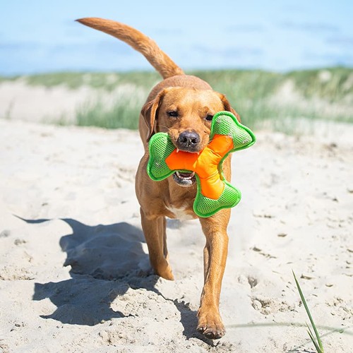 Frisbee pour chien MBW