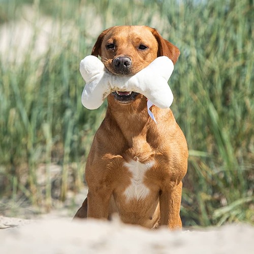Peluche os pour chien MBW