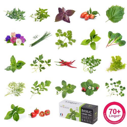 Potager Véritable® CLASSIC thumbnail 5