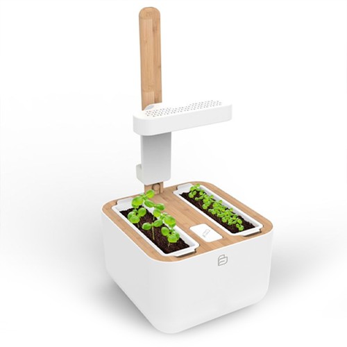 Botaneo Indoor Garden - VERITABLE thumbnail 5