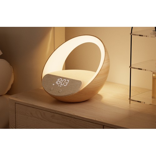 Enceinte alarme induction Bluetooth Speaker - BLAUPUNKT