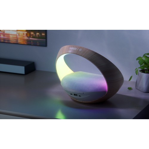 Enceinte alarme induction Bluetooth Speaker - BLAUPUNKT