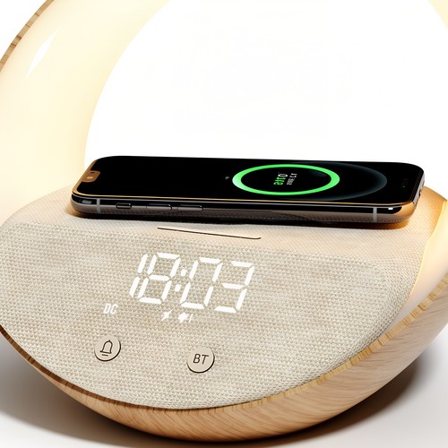 Enceinte alarme induction Bluetooth Speaker - BLAUPUNKT