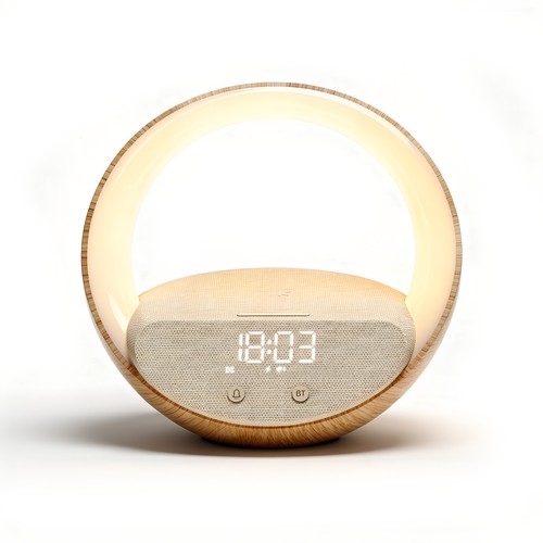 Enceinte alarme induction Bluetooth Speaker - BLAUPUNKT