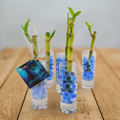 Bambou d'eau en vase