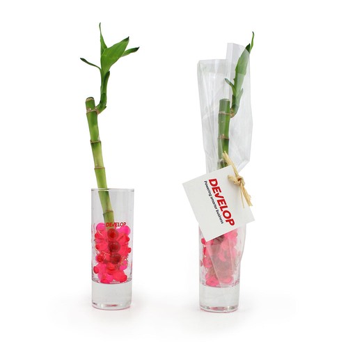 Bambou d'eau en vase