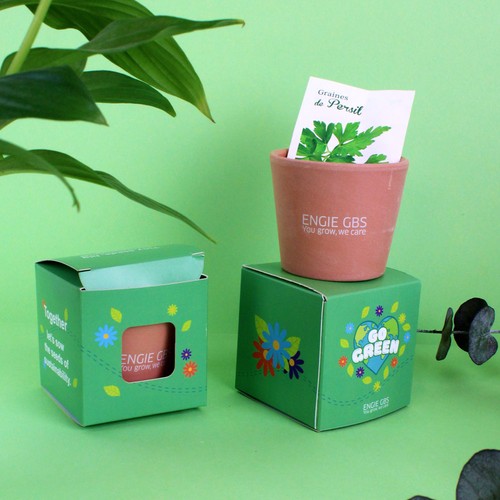 Cube plantation Ø7cm - 1